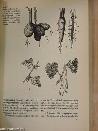 Biológiai stúdium