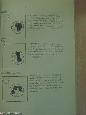 Élettan-kórélettan gyakorlatok