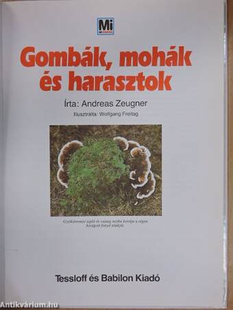 Gombák, mohák és harasztok