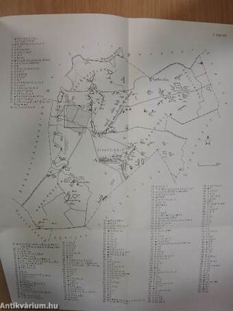 Békés megye régészeti topográfiája - A szarvasi járás IV/2.