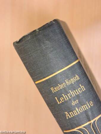 Rauber's Lehrbuch der Anatomie des Menschen Abteilung I-VI.