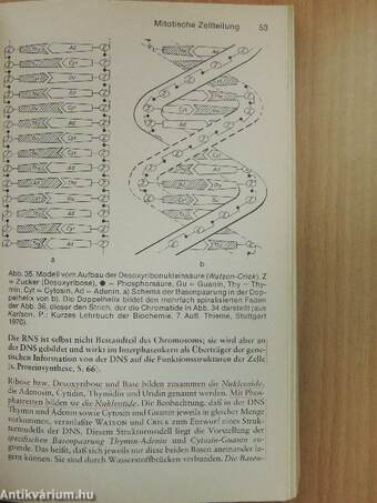 Taschenlehrbuch des gesamten Anatomie III.