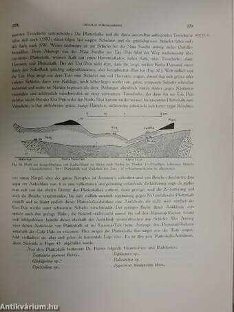 Geologica Hungarica - Series Geologica 3.