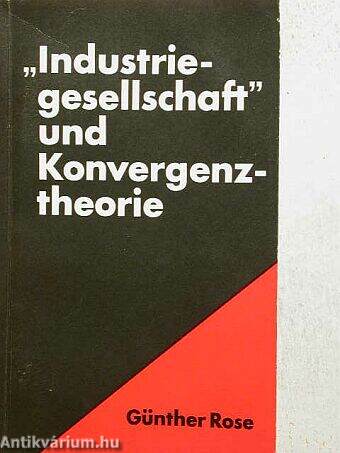 "Industrie-gesellschaft" und Konvergenztheorie