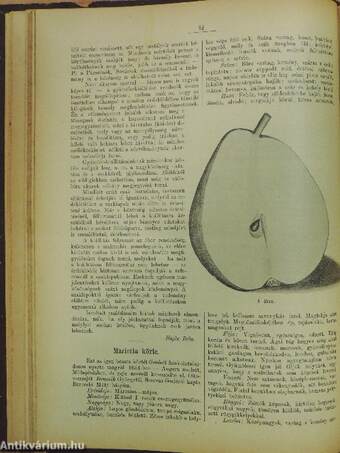 Gyümölcskertész 1902. január-december