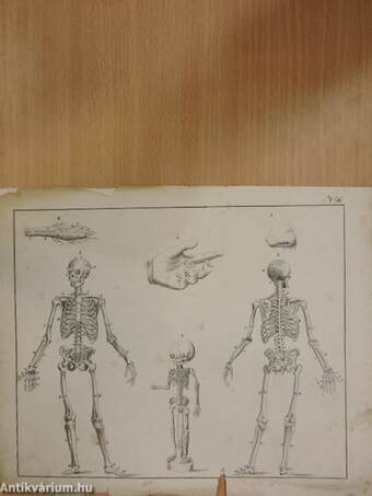 Systematische Bilder-Gallerie zur allgemeinen deutschen Real-Encyclopädie 1-4. (gótbetűs) (nem teljes) (rossz állapotú)