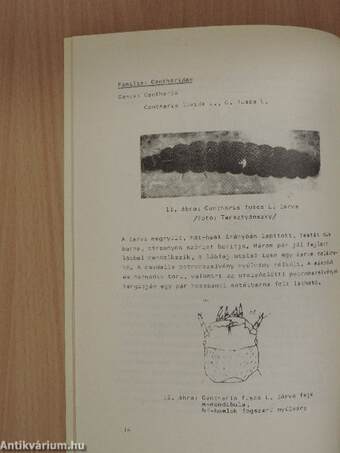 A Mosonmagyaróvári Mezőgazdaságtudományi Kar Közleményei 1972/14