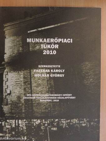 Munkaerőpiaci tükör 2010