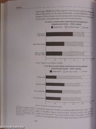 Munkaerőpiaci tükör 2010