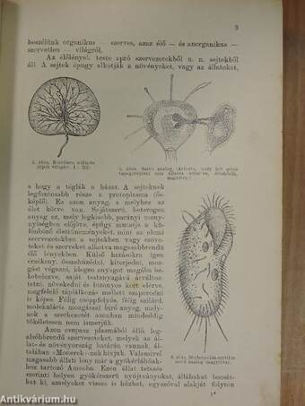 Képes természetrajz az ifjuság számára (rossz állapotú)