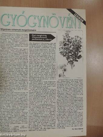 Természetgyógyász Magazin 1995-1998. (nem teljes évfolyamok)/Ideál Természetgyógyászat 1997. október