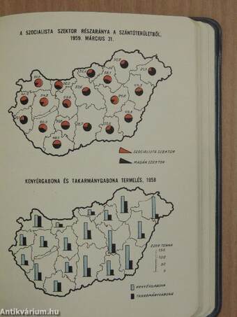 Magyar statisztikai zsebkönyv 1959