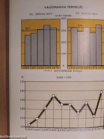 Mezőgazdaság és élelmiszeripar 1971-1975
