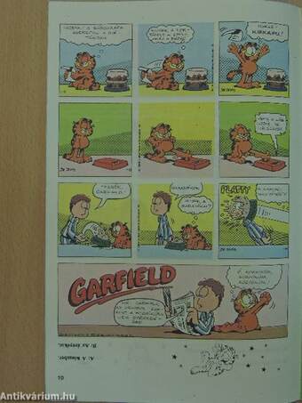 Garfield 1990/1.