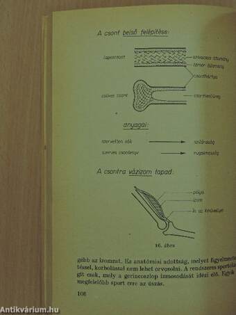 Tanári kézikönyv az Élővilág című tantárgy tanításához - 8. osztály