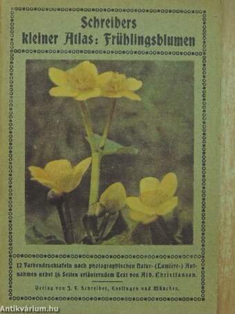 Schreibers kleiner Atlas: Frühlingsblumen (gótbetűs)