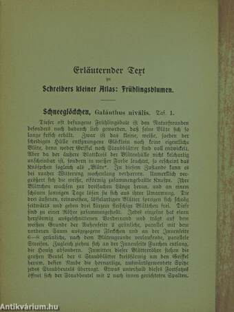 Schreibers kleiner Atlas: Frühlingsblumen (gótbetűs)