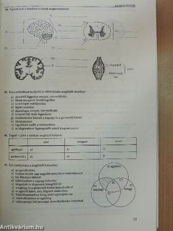 Komplex munkafüzet biológiából 8.