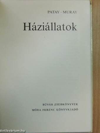 Háziállatok