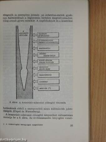 A vérkeringési betegségek megelőzése