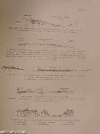 Veszprém városának és tágabb környékének geologiai leirása