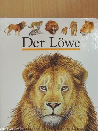 Der Löwe