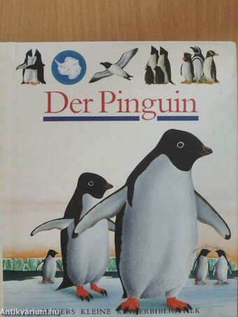 Der Pinguin