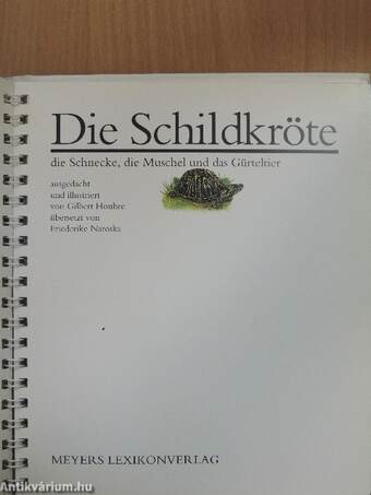 Die Schildkröte