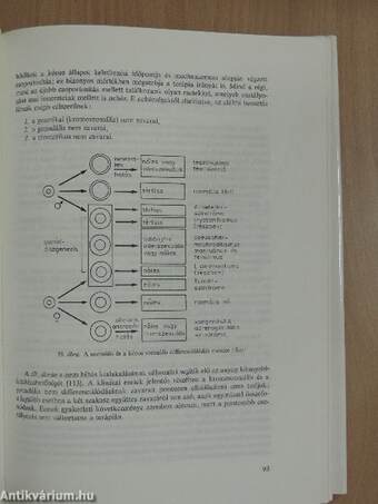 Gyermek- és fiatalkori nőgyógyászat