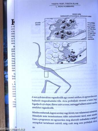 Tiszta test, tiszta elme