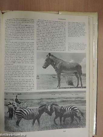 Larousse Encyclopedia of Animal Life