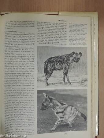 Larousse Encyclopedia of Animal Life