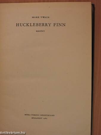 Huckleberry Finn