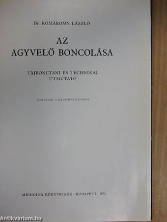 Az agyvelő boncolása