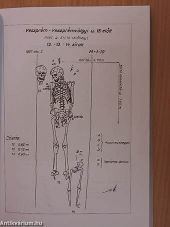 Veszprém megyei honismereti tanulmányok XVIII.