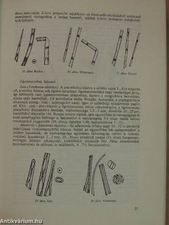 Fejezetek a papírgyártásból