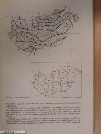 Gyakorlati zöldségvetőmag-termesztés