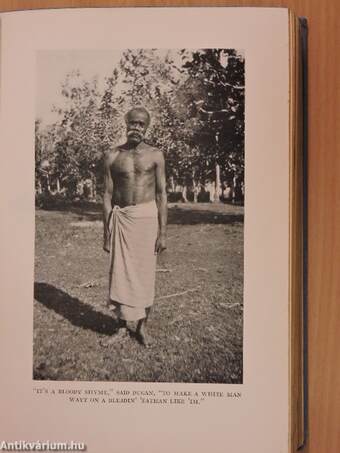 A vagabond in Fiji