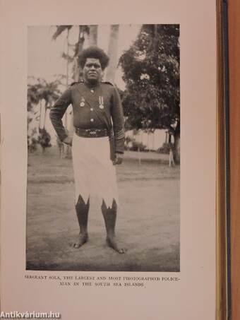 A vagabond in Fiji