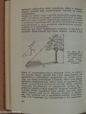 Mindenki matematikája