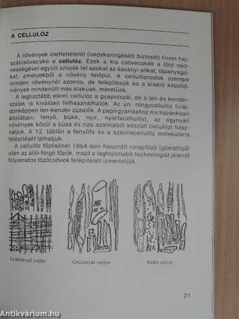 Vezető a Szolnoki Papírgyár írás-, papír-, és gyártörténeti gyűjteményének megtekintéséhez