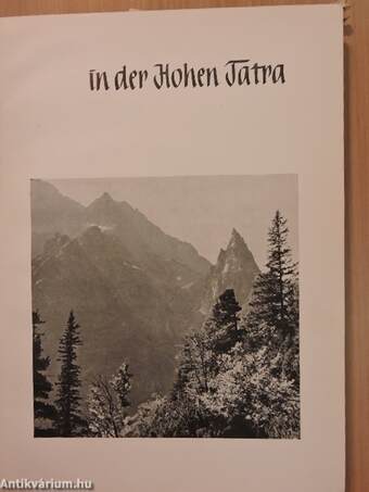 In der Hohen Tatra