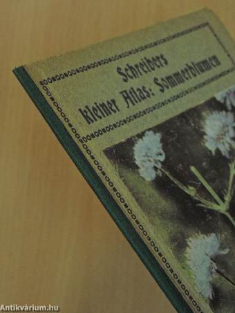 Schreibers kleiner Atlas: Sommerblumen (gótbetűs)