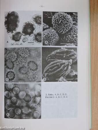 Mikológiai Közlemények 1997/2-3.
