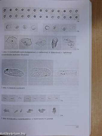 Laboratóriumi diagnosztikai gyakorlatok