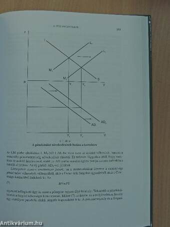 Bevezetés a monetáris makroökonómiába