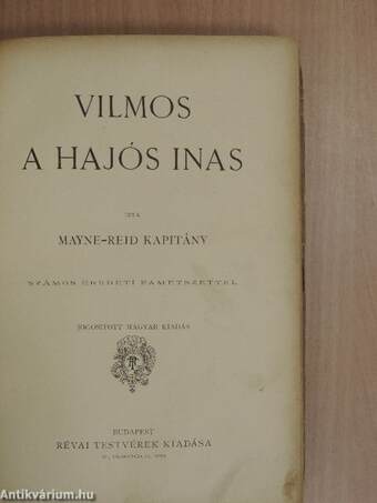 Vilmos, a hajós inas