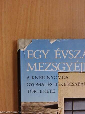 Egy évszázad mezsgyéjén