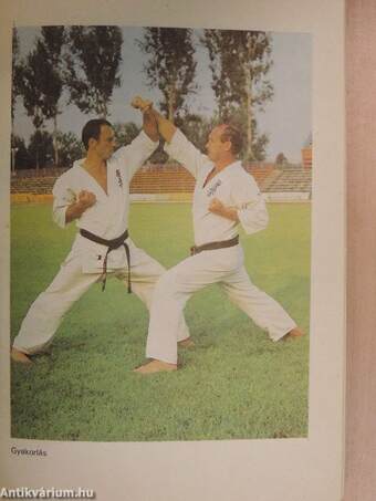 Kyokushin karate