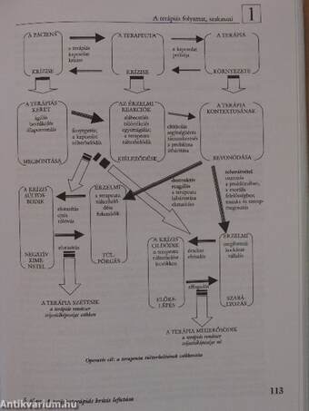 A pszichoterápia tankönyve